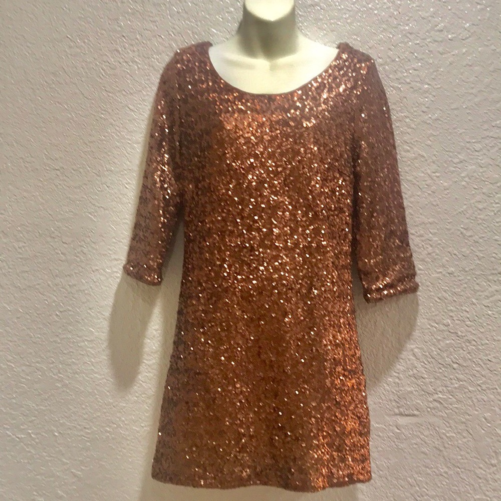 ❌H&M Sequence Dress